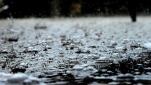 Météo du mercredi 12 février : grisaille et humidité au programme