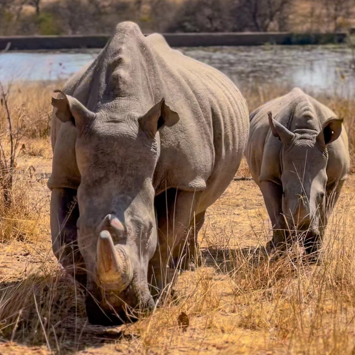 407757429_739751201523594_7854280625169002796_N Copie