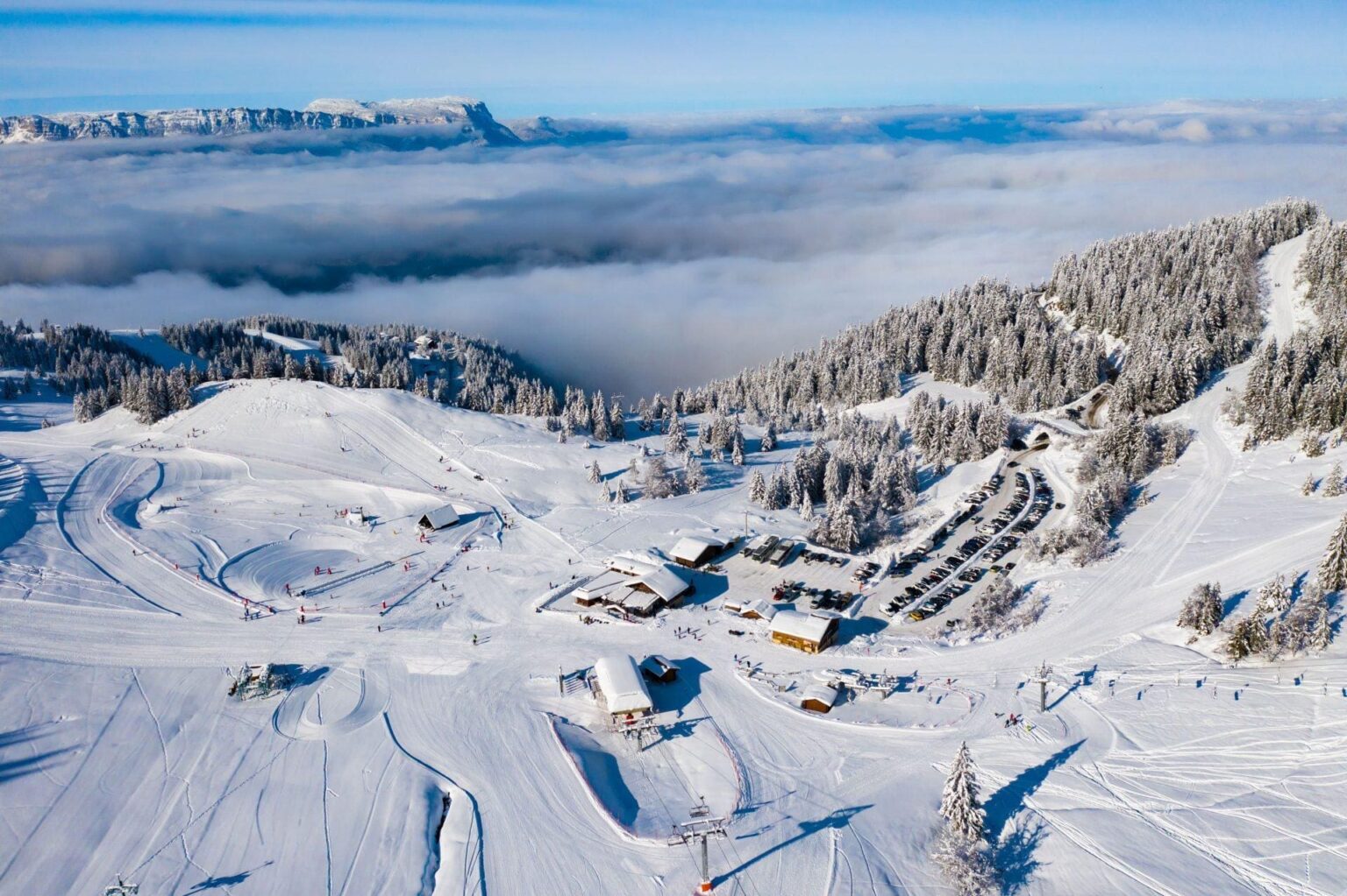 50291