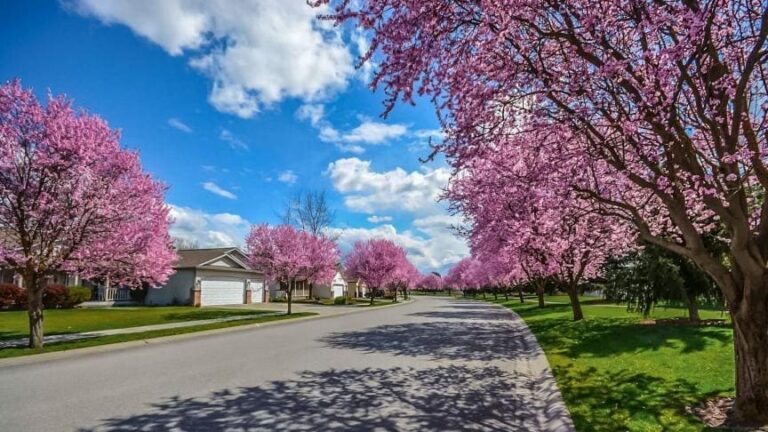 Météo de mercredi : un parfum de printemps sur une grande partie du pays