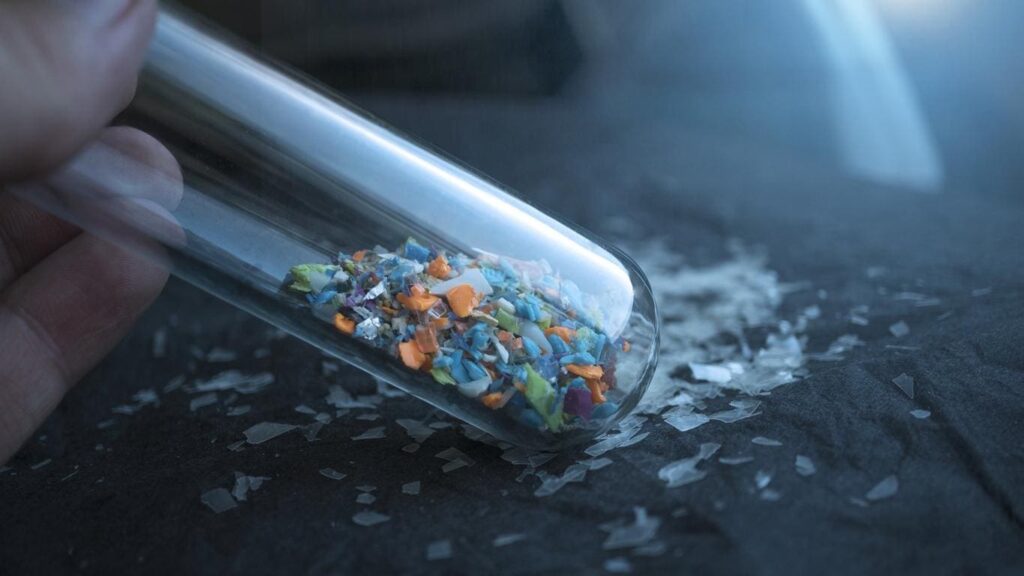 &lsquo;exposition aux particules plastiques dans vos aliments
