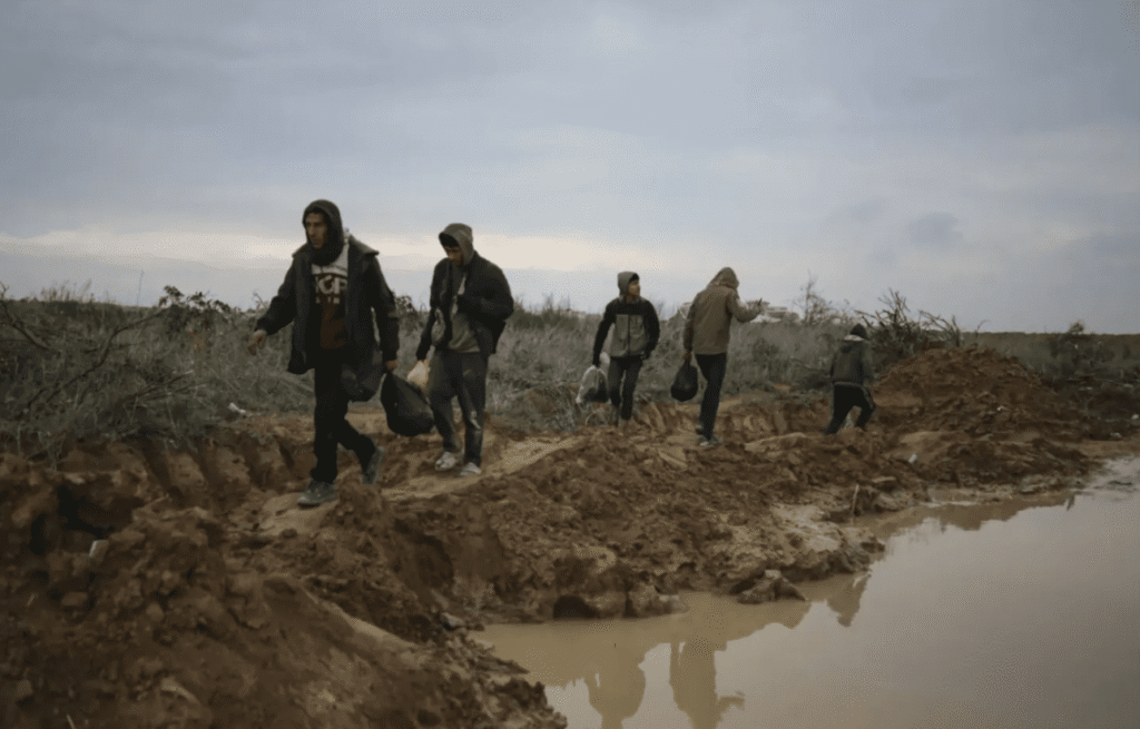 Coordination égyptienne et internationale pour organiser une conférence de reconstruction de Gaza
