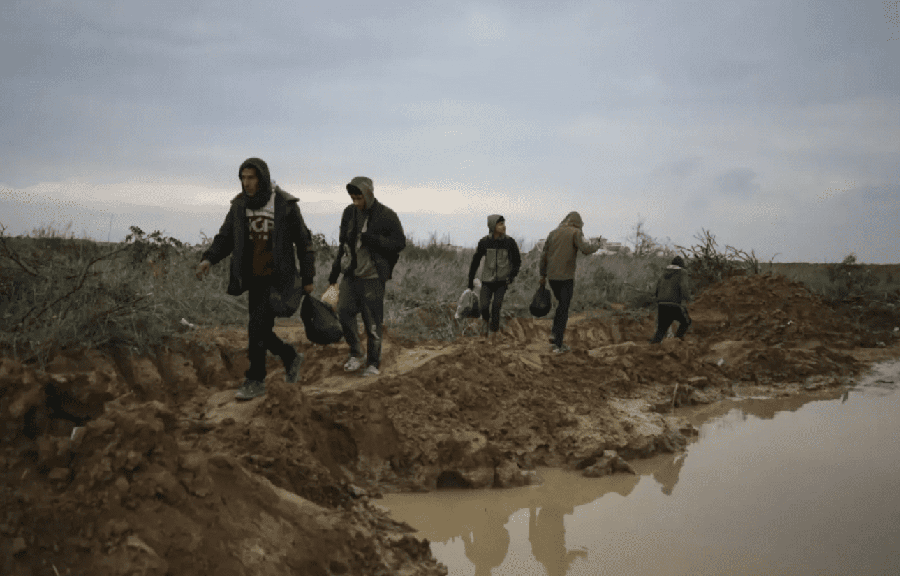 Coordination égyptienne et internationale pour organiser une conférence de reconstruction de Gaza