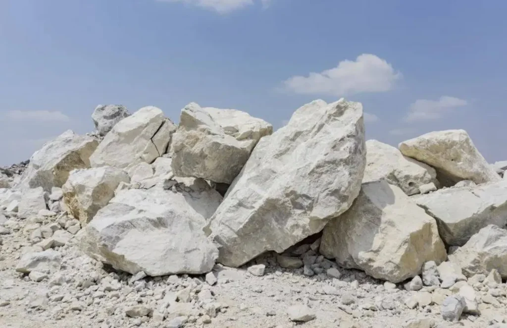 Des scientifiques  des micro-organismes ont creusé des tunnels dans les roches il y a deux millions d’années