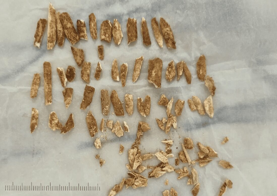 Découverte d’un squelette d'enfant décédé il y a 27.000 ans