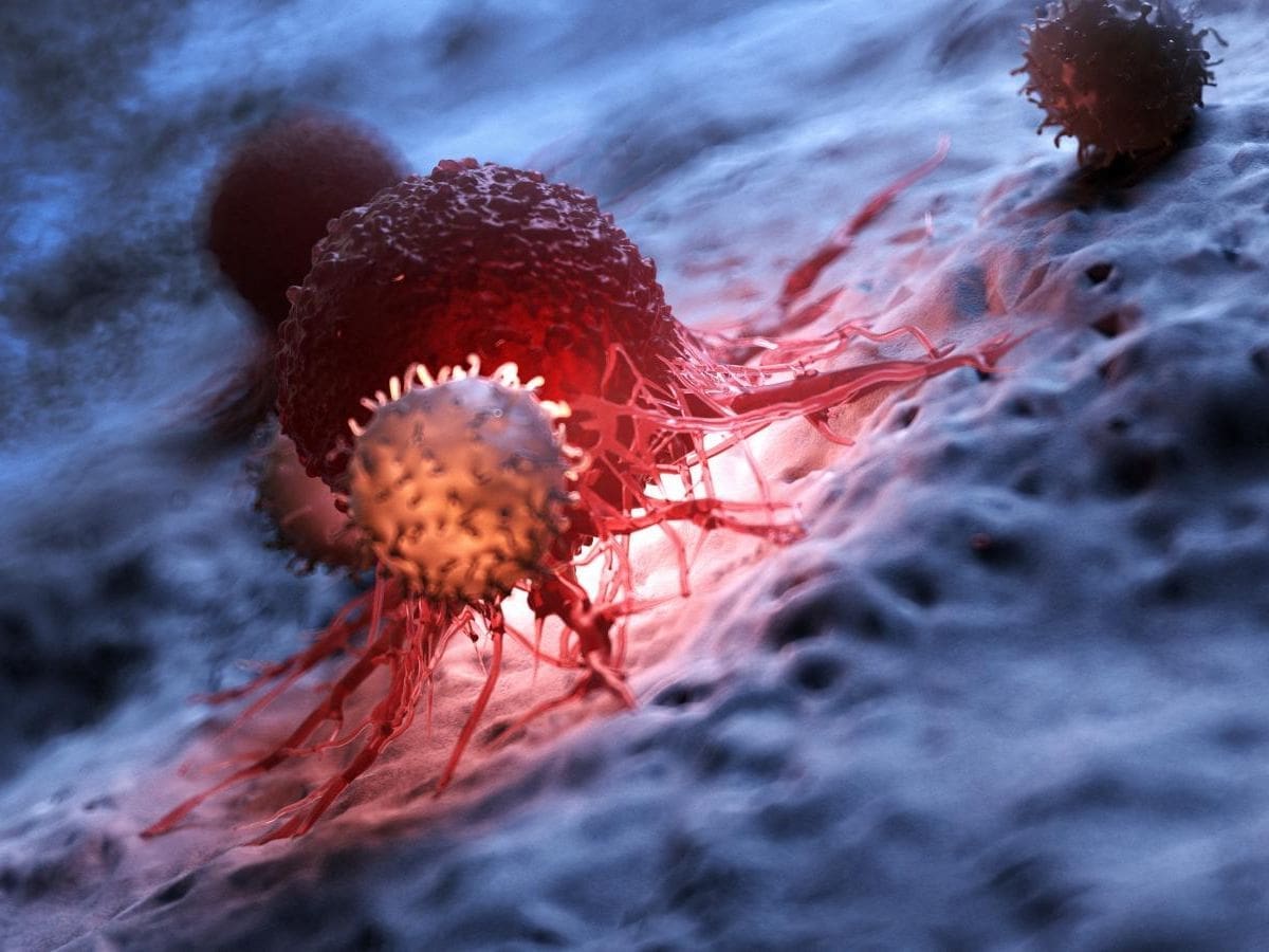 Développement d'une technologie innovante pour l'ablation des tumeurs par cryothérapie, à l'Université de New York-Abu Dhabi