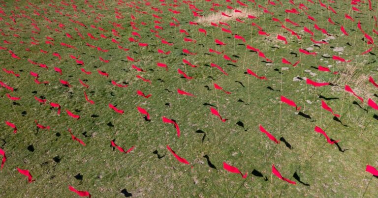 16 800 drapeaux rouges dressés pour la paix sur un ancien champ de bataille de 14-18