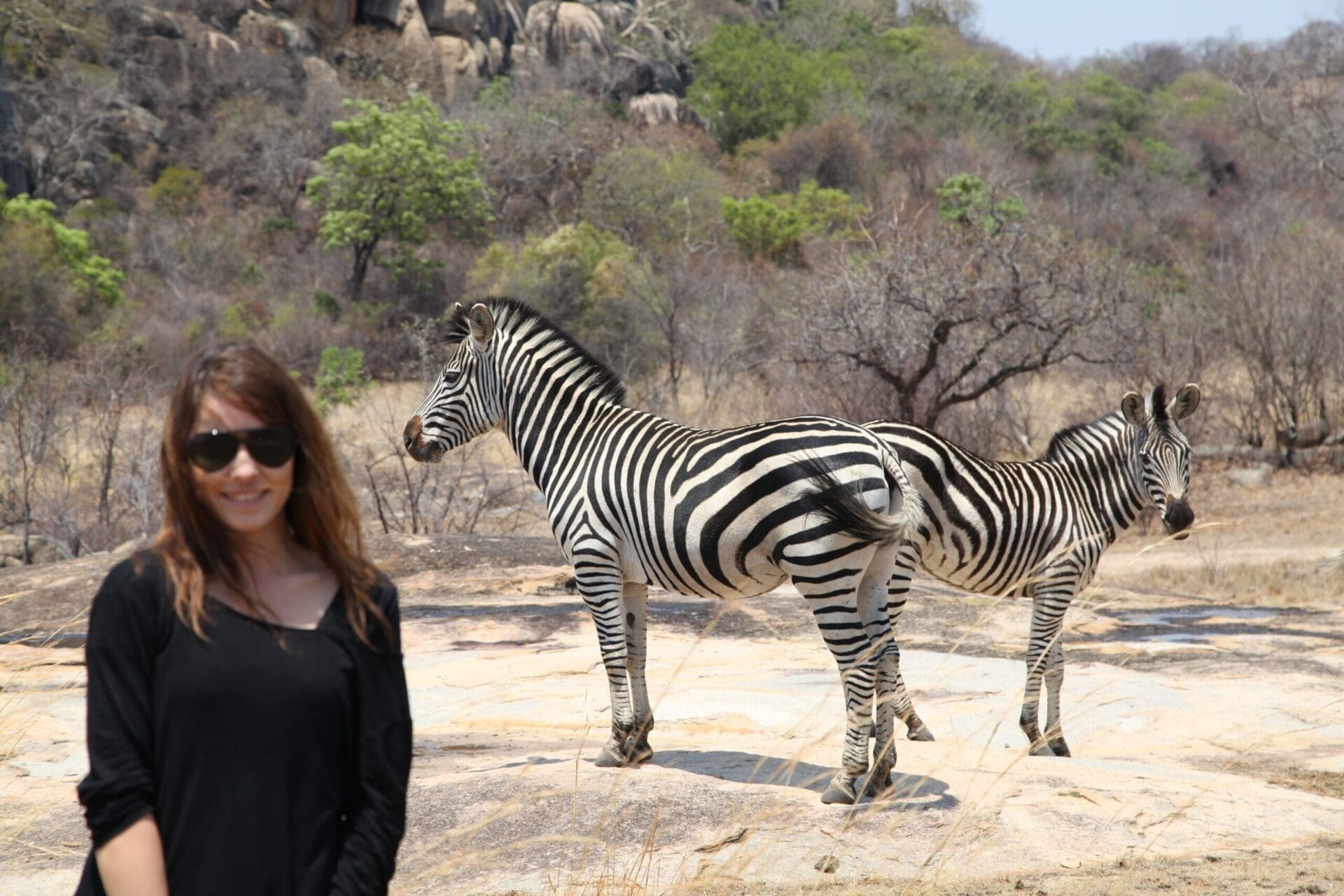 Jessica Pierné Dans La Savane, En Compagnie De Zèbres,  À Mi-Chemin Entre Bulawayo Et Le Parc De Matobo 