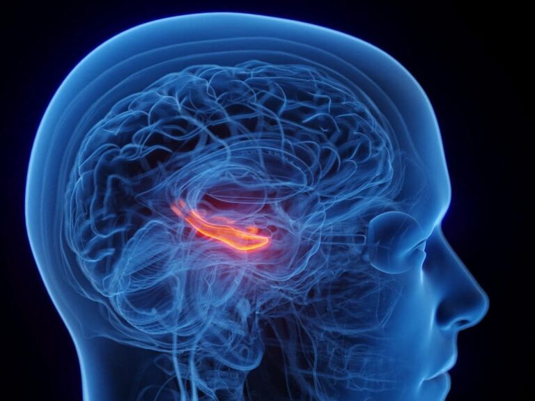 La maladie d&rsquo;Alzheimer pourrait ne pas être exclusivement liée au cerveau