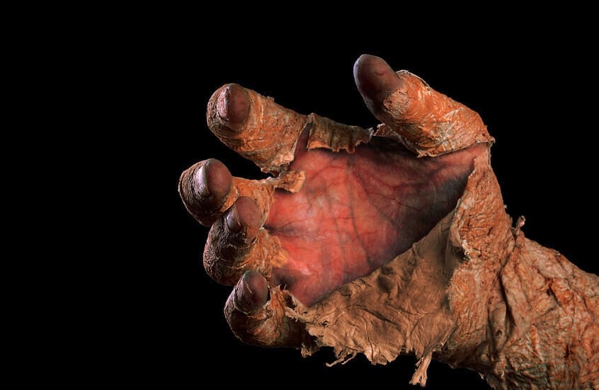 La police turque déjoue une tentative de vente d'une momie ancienne "effrayante" pour un million de dollars