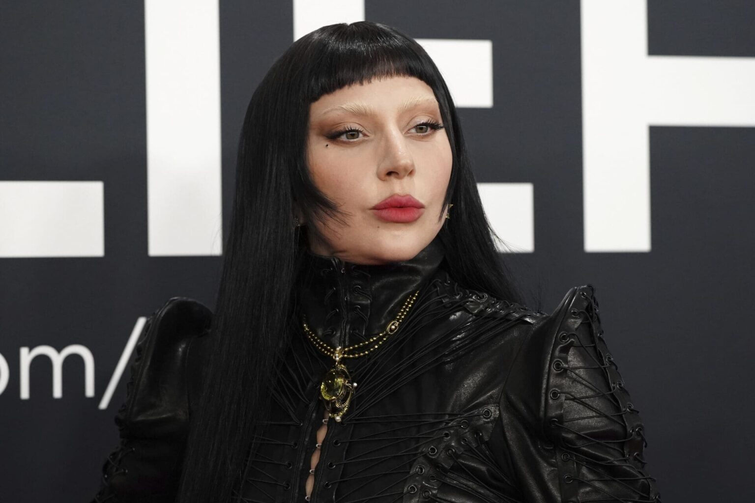 Lady Gaga rend hommage aux victimes du 13-Novembre en plein concert à Lyon