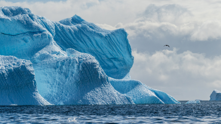 Le plus grand iceberg du monde s'échoue au large de la Géorgie du Sud