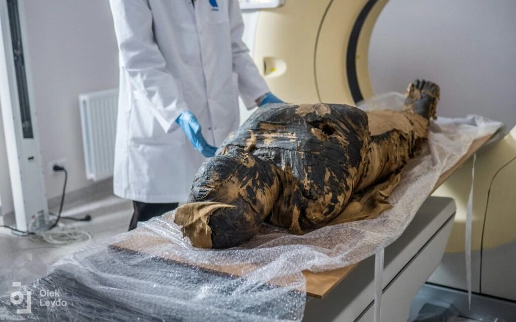 L'énigme de la momie enceinte… une étude démêle les revendications intrigantes