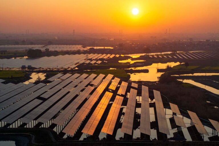 Les énergies renouvelables enregistrent une croissance record en 2024, portée par la Chine