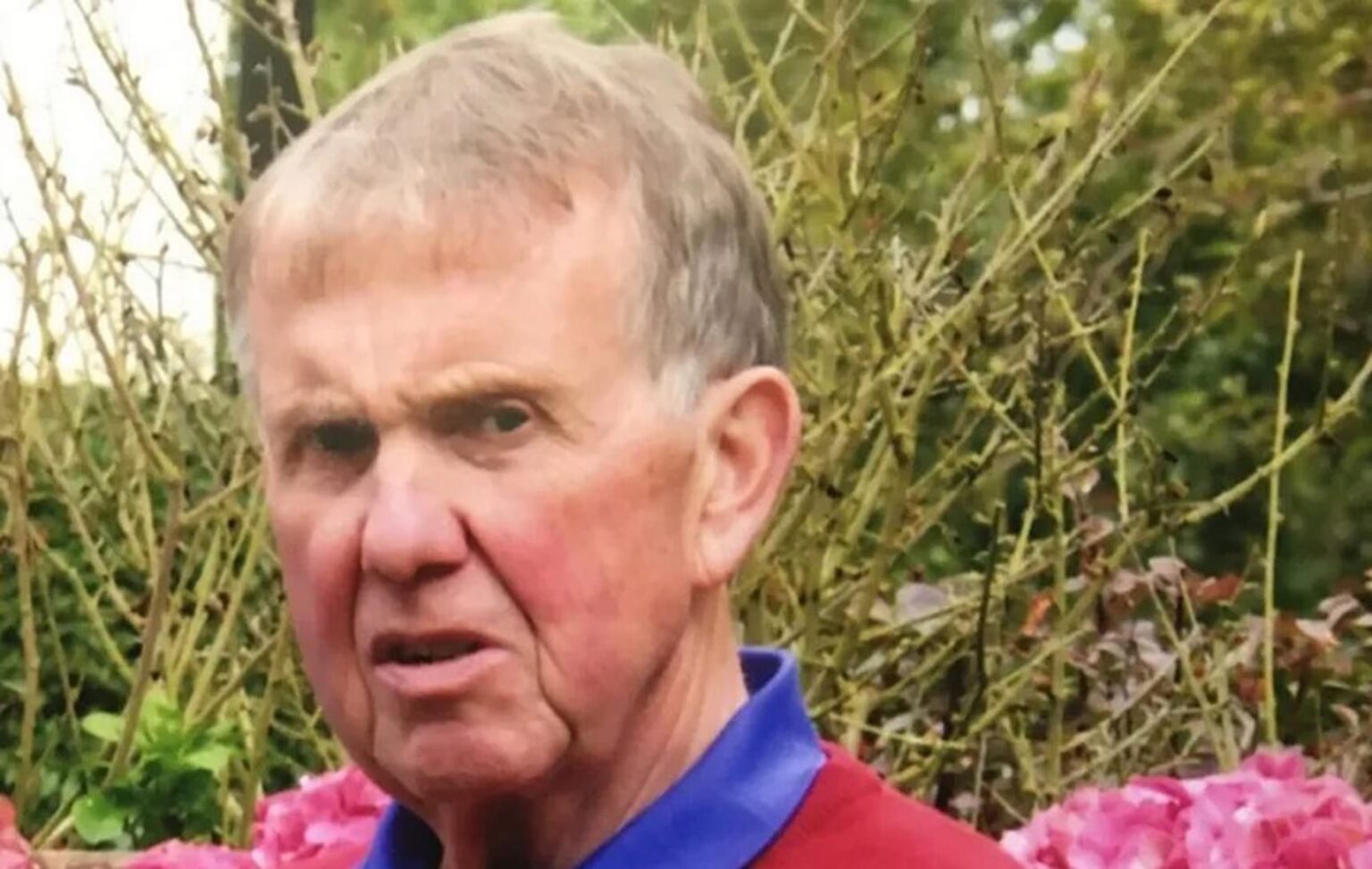 Англия: Пенсионер убит коровами во время прогулки. Открытие фантастического судебного процесса.