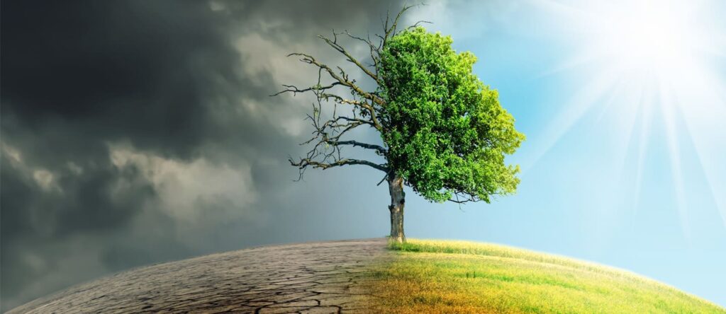Changement climatique l'ONU se trompe de façon de faire