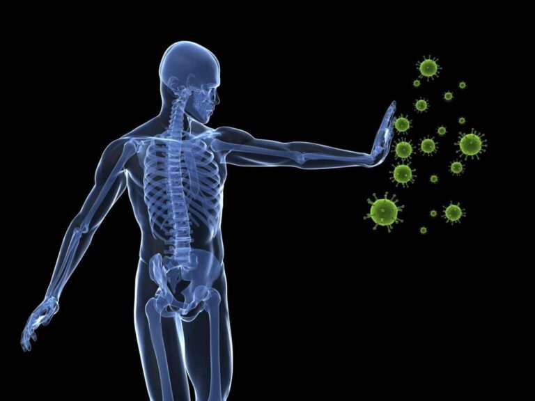 SANTÉ – Des scientifiques découvrent des antibiotiques naturels