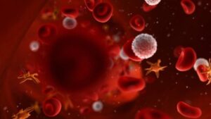 SANTÉ – Des chercheurs arrivent à comprendre pourquoi le système immunitaire échoue à lutter contre la leucémie
