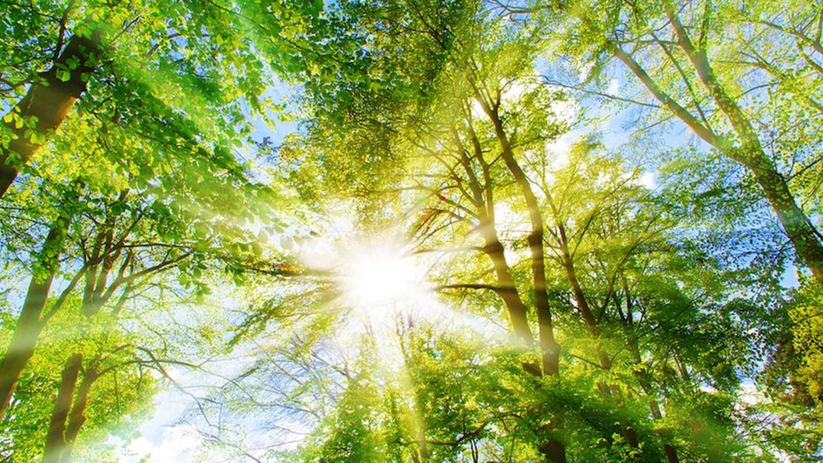 SANTÉ - Les bienfaits de l'exposition au soleil