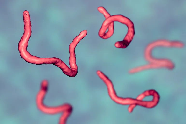 SANTÉ -Les douleurs abdominales peuvent révéler la présence d'un parasite dans votre corps