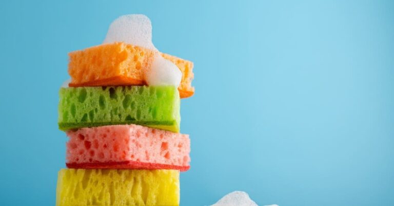 SANTÉ - Les éponges de cuisine sont-elles nuisibles pour la santé ?