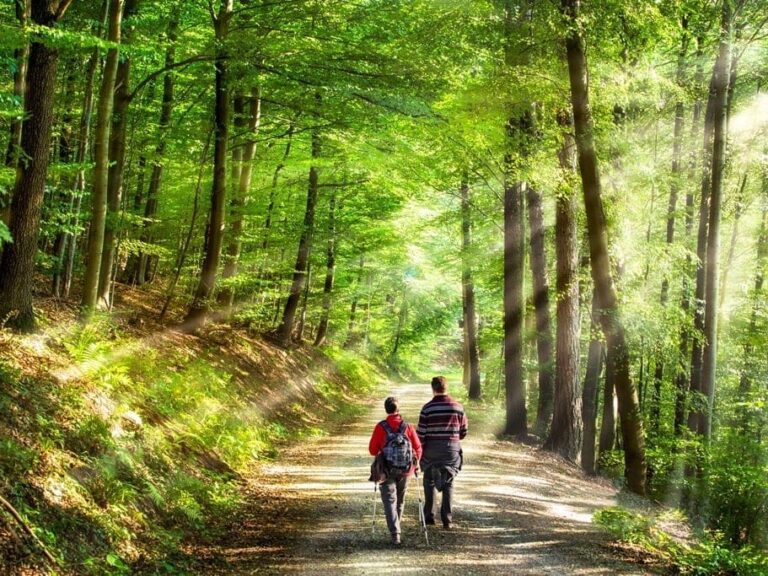 SANTÉ - Une étude confirme regarder la nature soulage la douleur