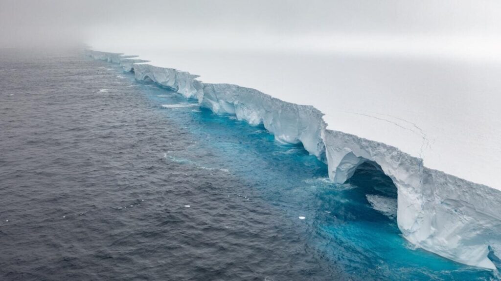 Un poids de mille milliards de tonnes… Le plus grand iceberg du monde évite la collision avec une île riche en faune