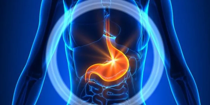 SANTÉ - Le sel augmente le risque de cancer de l'estomac