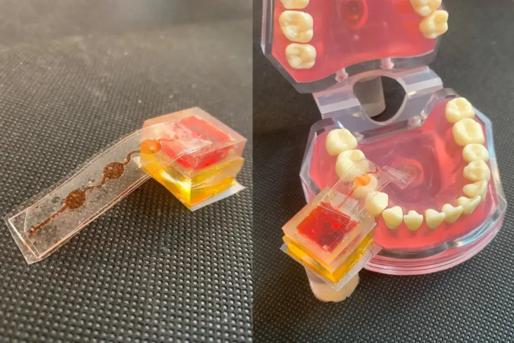 La dégustation à distance est désormais une réalité