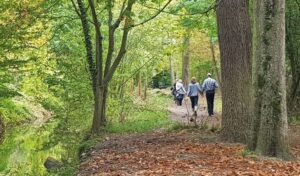 Une touriste britannique violée par un chauffeur de taxi dans le bois de Boulogne