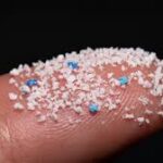 Les multiples menaces des microplastiques