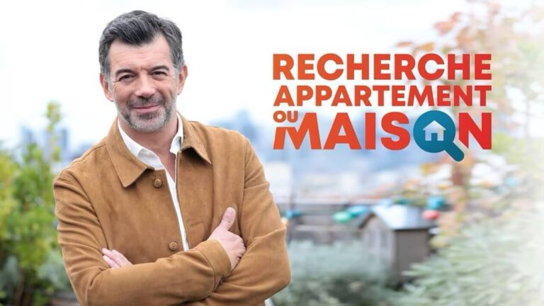 Affaire Stéphane Plaza: une ex-compagne condamnée pour harcèlement