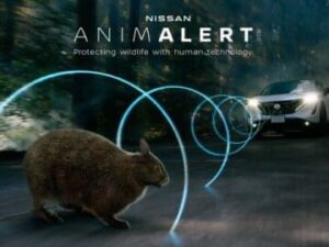 Nissan met au point une alarme sonore pour éviter les collisions entre les voitures et les animaux