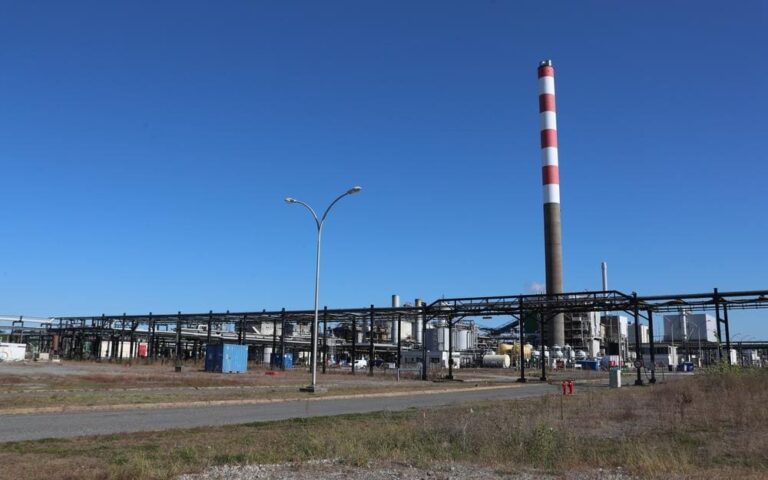 Terres rares : une usine franco-japonaise pour briser le monopole chinois