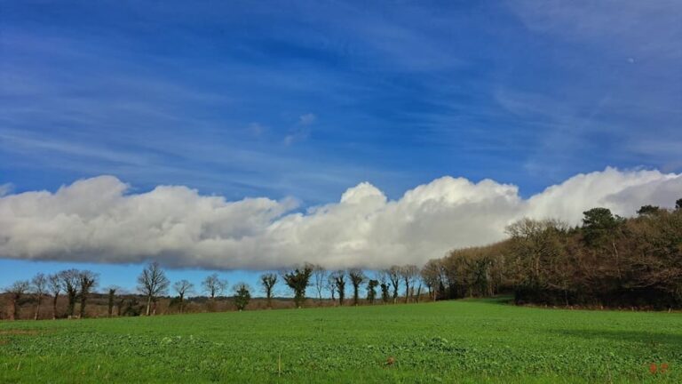 Météo du jeudi 10 avril : la France sous le soleil, sauf l’extrême nord balayé par la bise