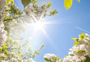 Météo du vendredi 25 avril : un air de printemps sur la moitié sud