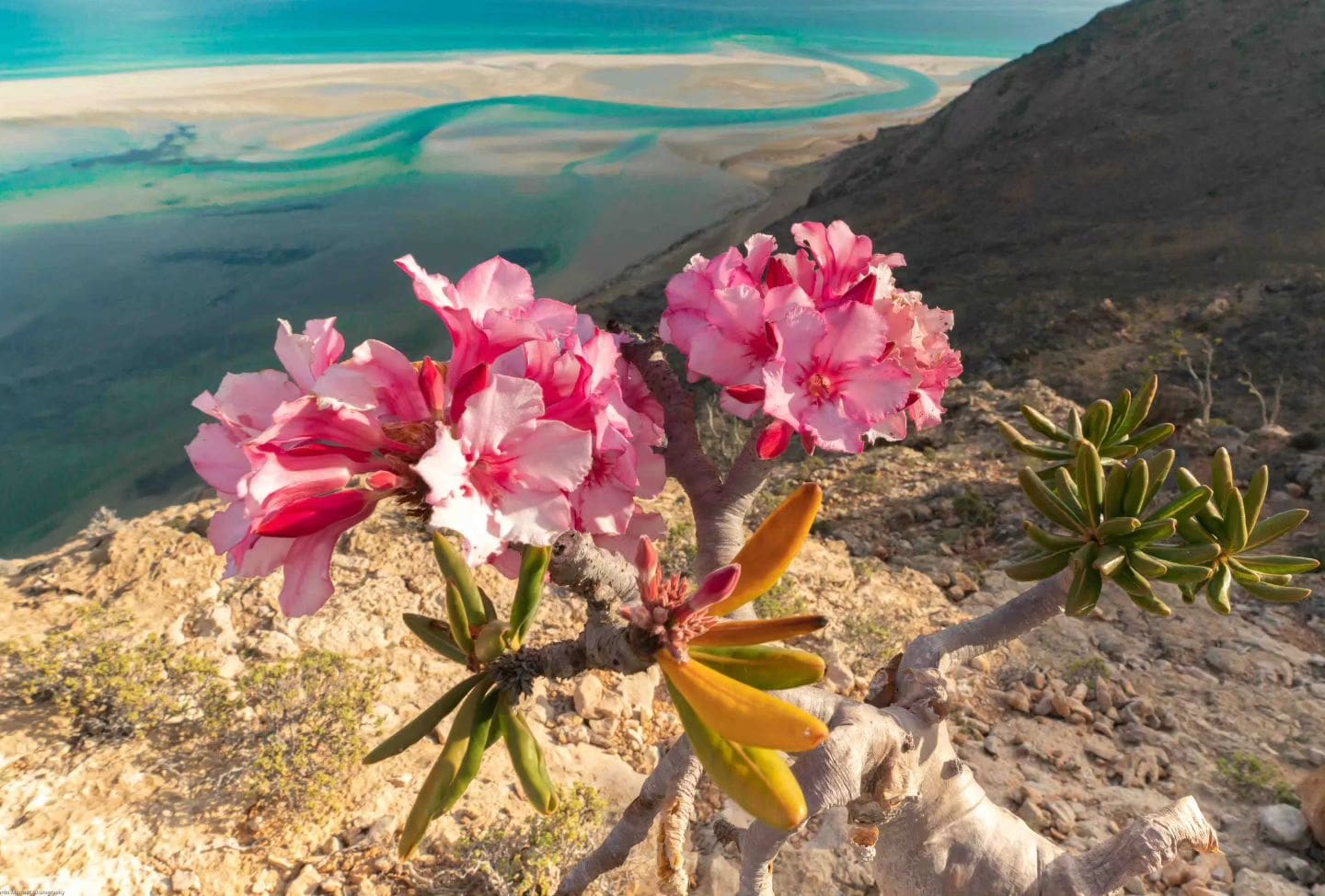 360119702_592238459763551_555039214012692026_N