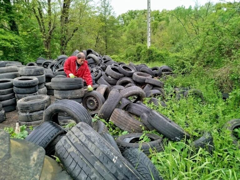 Tarn : un dépôt sauvage de 1 063 pneus sorti de l’oubli par trois courageux