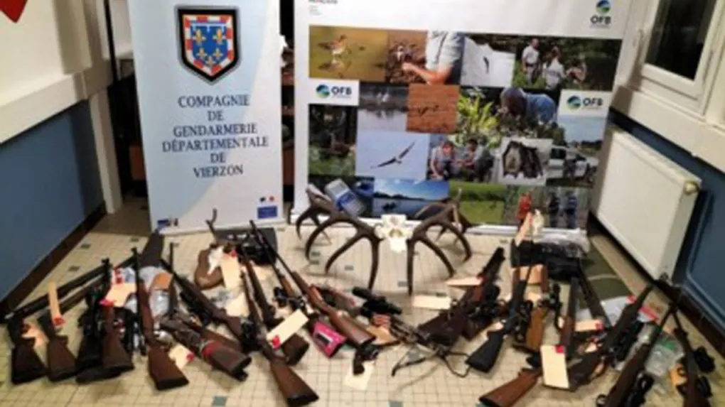 Ils traquaient et écrasaient des animaux en voiture : six braconniers jugés à Châteauroux