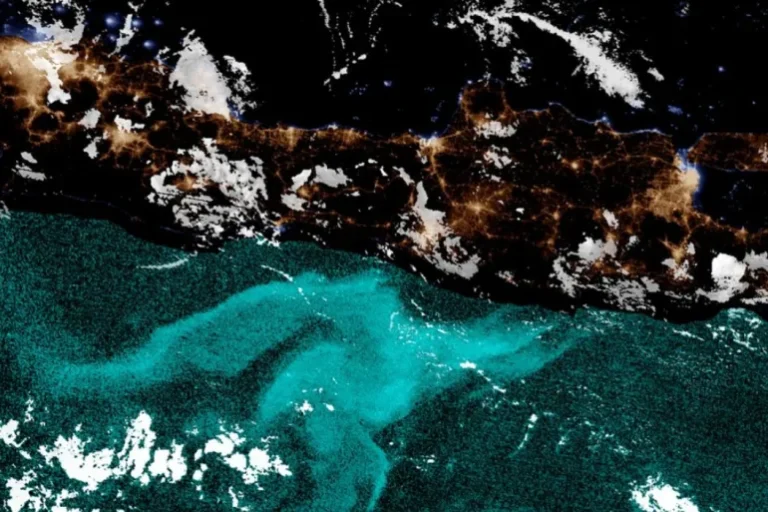 Des scientifiques révèlent le secret de la lueur de la mer d'Arabie la nuit