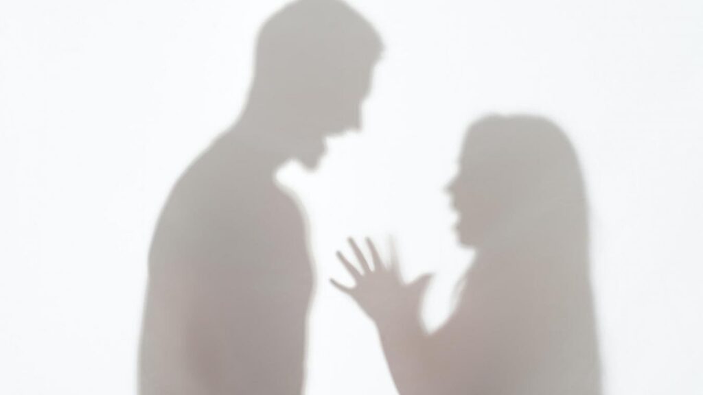 Violences intra-familiales : une conférence croisée franco-espagnole ce lundi à Fleurance