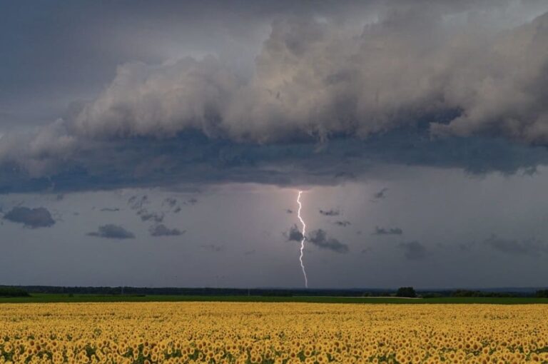 Samedi sous tension : les orages débarquent par l’ouest, le nord-est profite encore du soleil
