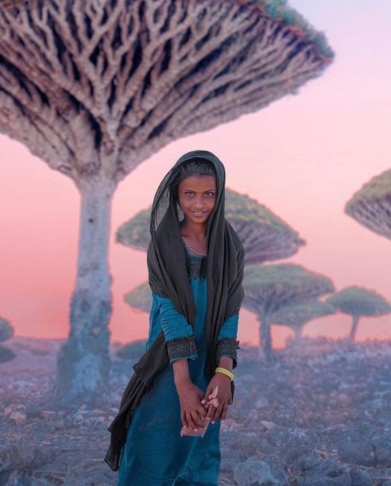 Fille Dragonnier Socotra