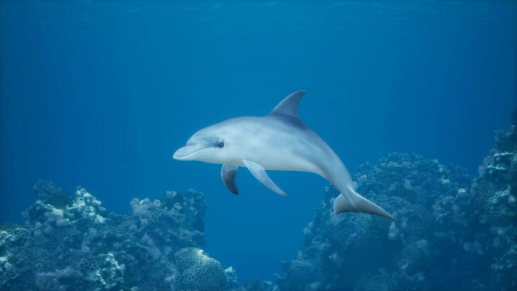 Google développe un modèle d’intelligence artificielle pour déchiffrer la communication des dauphins