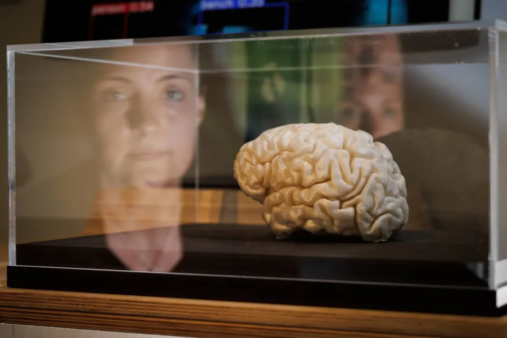 Habitudes quotidiennes simples pour la santé de votre cerveau