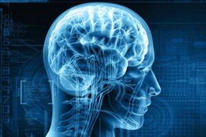 La Commission européenne approuve le médicament «Lecanemab» pour le traitement de la maladie d’Alzheimer