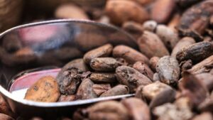 La Côte d’Ivoire menace d’augmenter le coût d’exportation du cacao en réponse aux taxes de Donald Trump