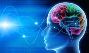 La stimulation cérébrale profonde pourrait surmonter l'épilepsie résistante aux médicaments