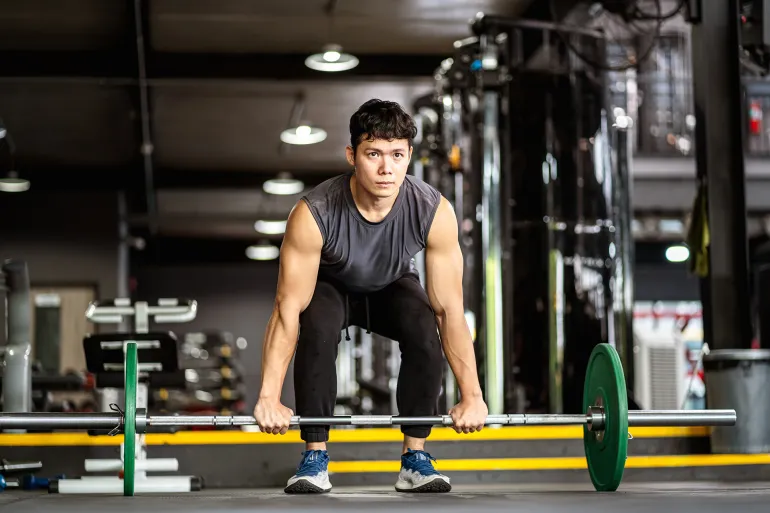 Les muscles ne oublient pas une étude révèle l’existence de la mémoire protéique