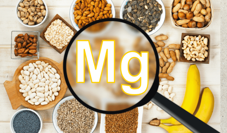 SANTÉ - Dix aliments végétaux riches en magnésium à découvrir